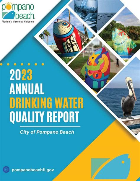 deerfield beach utilities|pompano beach water quality.